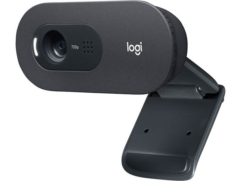 Camara Web Logitech C505 Hd Webcam