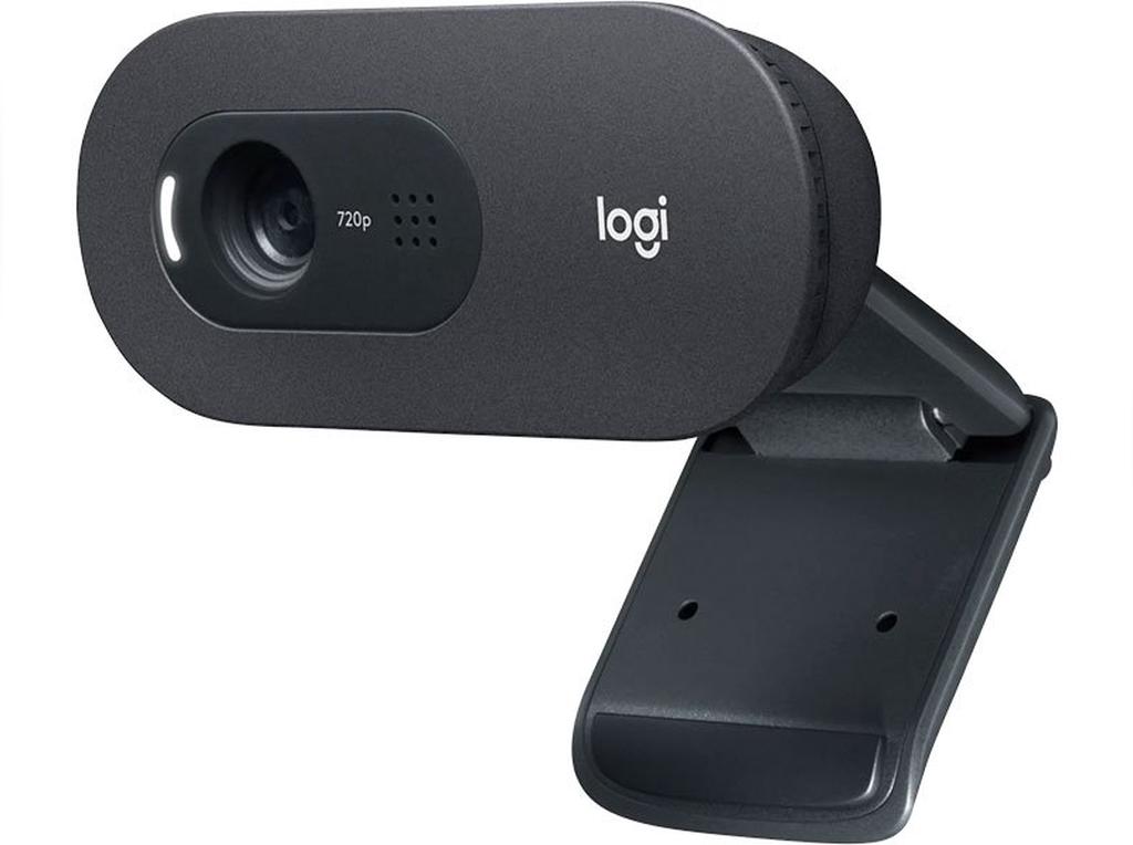 Camara Web Logitech C505 Hd Webcam
