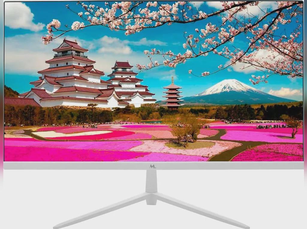 Monitor Mtek 22" Ms22sfv100p-B Va-100Hz/1920X1080/Hdmi/Vga/Spk/U.Slim