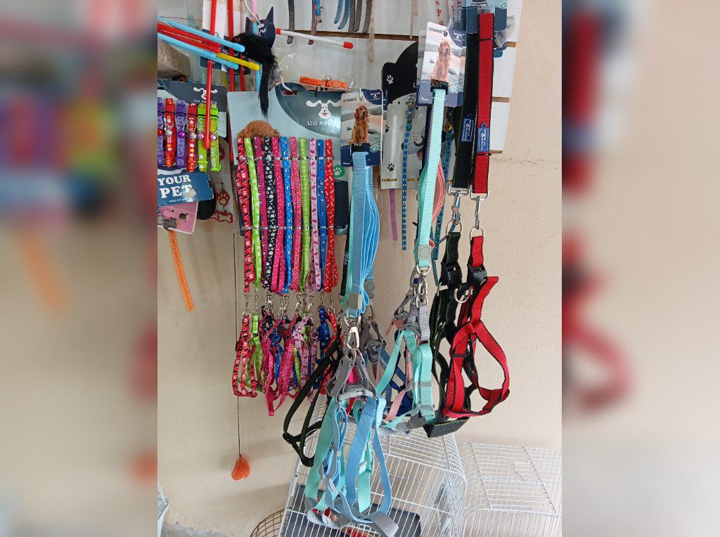 pecheras para perros