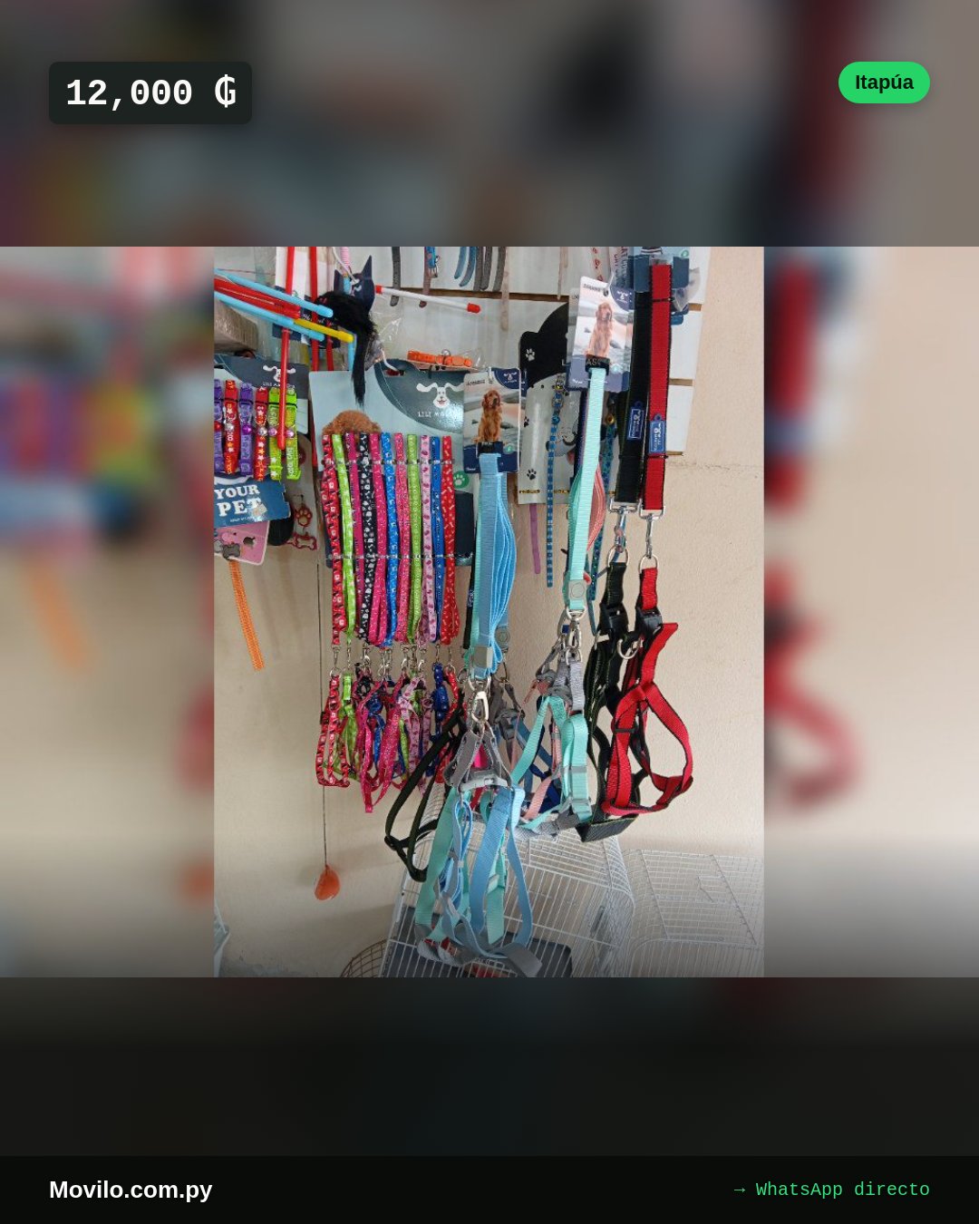 pecheras para perros