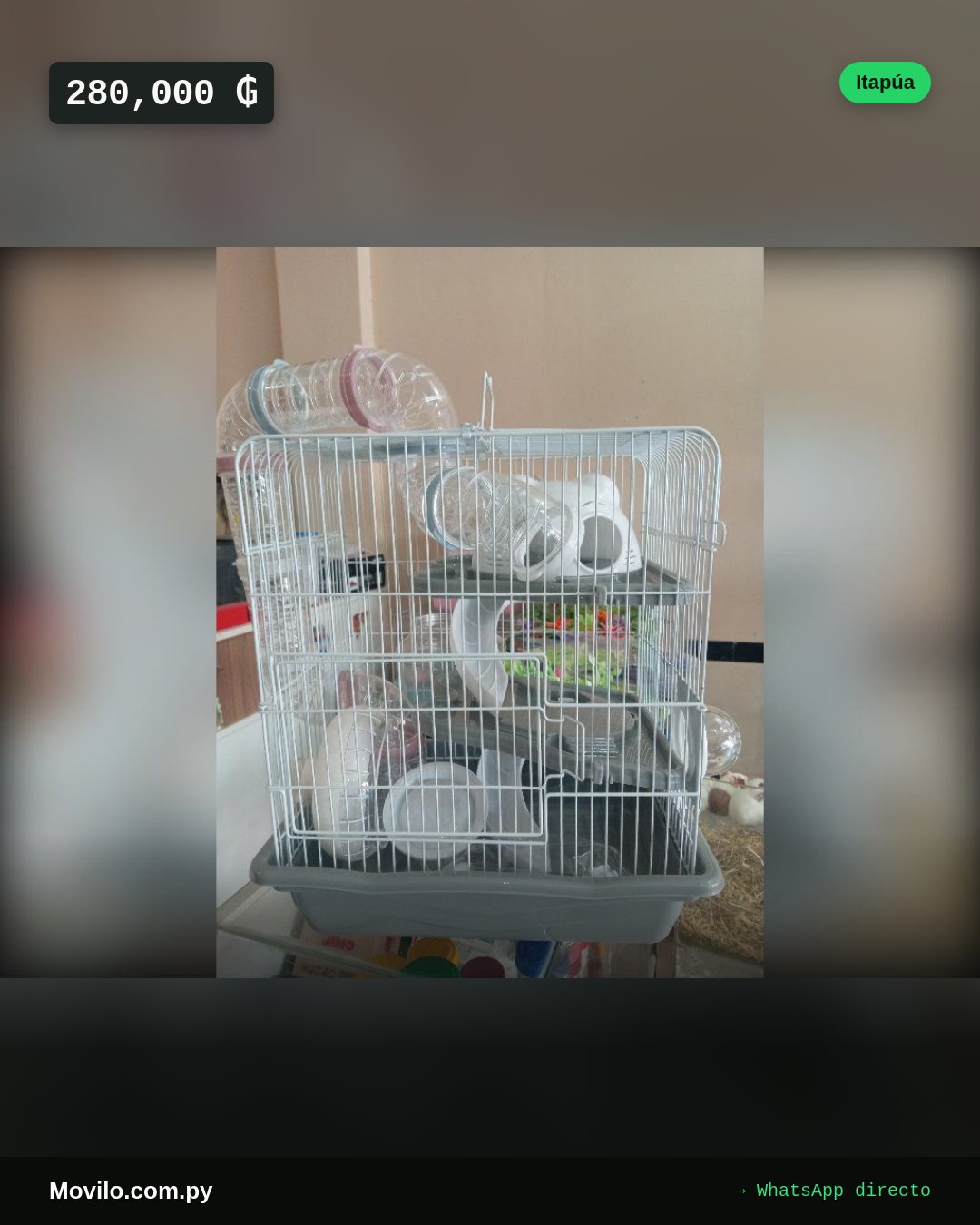Jaula. Para hamster